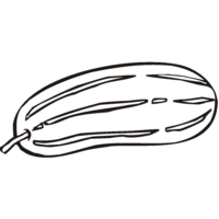 Desenho de Pepino grande para colorir