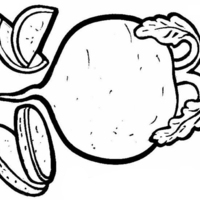 Desenho de Rabanete legume para colorir