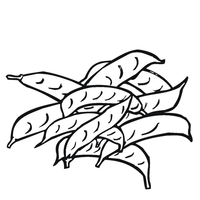 Desenho de Punhado de ervilhas para colorir