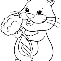 Desenho de Zhu Zhu Pets e flor para colorir