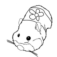 Desenho de Zhu Zhu Pets farejando para colorir