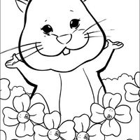 Desenho de Zhu Zhu Pets no jardim para colorir