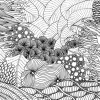 Desenho de Algas marinhas para adultos para colorir