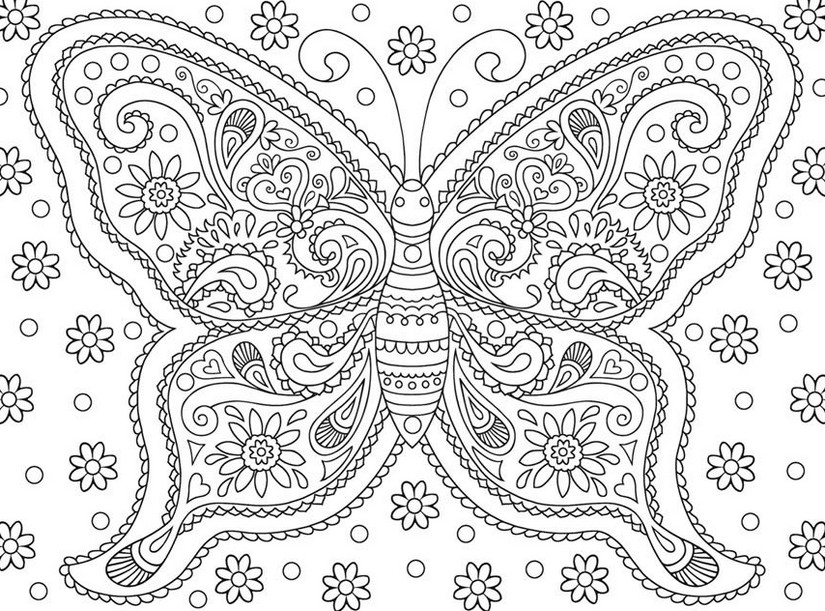 Desenho de Borboleta para adultos para colorir - Tudodesenhos