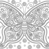 Desenho de Borboleta bonita para adultos para colorir