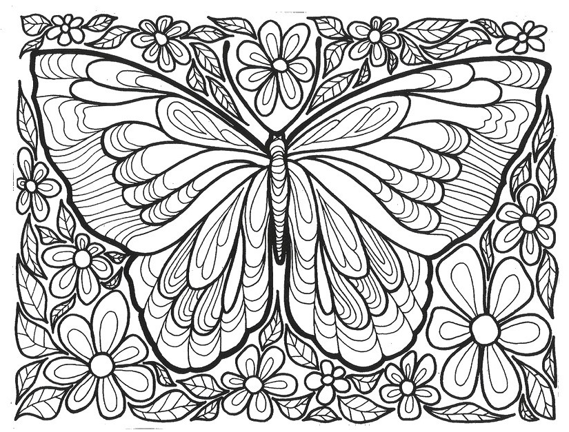 Desenho de Borboleta para adultos para colorir - Tudodesenhos