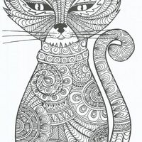 Desenho de Gato para adultos para colorir