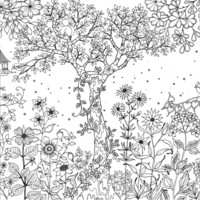 Desenho de Jardim Secreto para adultos para colorir