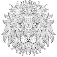 Desenho de Leão para adultos para colorir