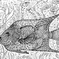 Desenho de Peixe para adultos para colorir