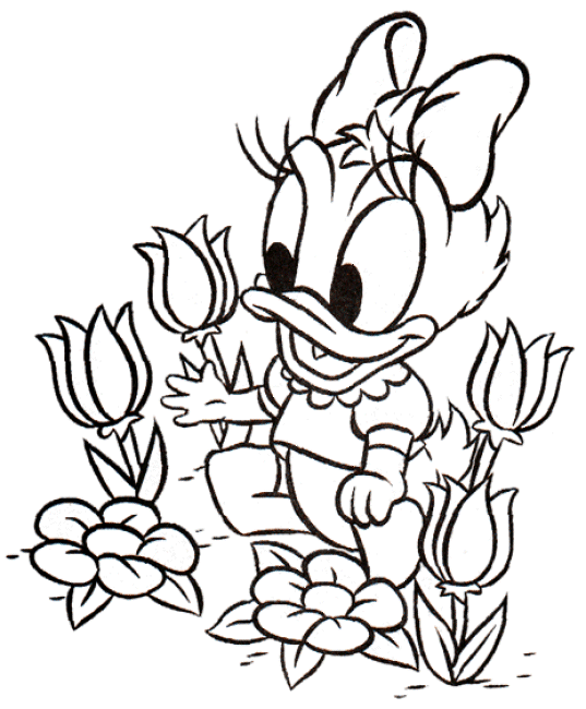 Margarida colhendo tulipas