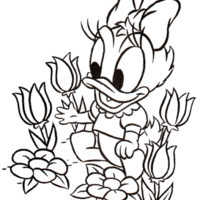 Desenho de Margarida colhendo tulipas para colorir