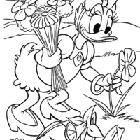 Desenho de Margarida colhendo flores para colorir