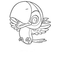 Desenho de Papagaio de Jake para colorir