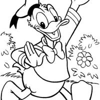 Desenho de Donald para colorir