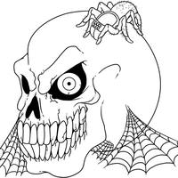 Desenho de Caveira e teia de aranha para colorir