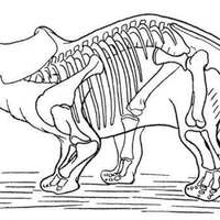 Desenho de Esqueleto de Triceraptor para colorir