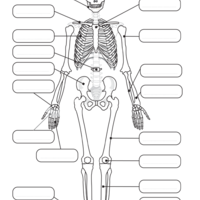 Desenho de Ossos do corpo humano para colorir