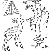 Desenho de Menina e bambi no acampamento para colorir
