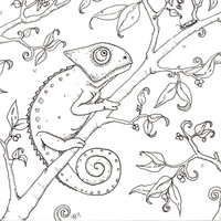 Desenho de Camaleão bonito para colorir