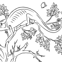 Desenho de Camaleão na floresta para colorir