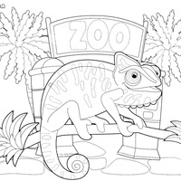Desenho de Camaleão no zoológico para colorir