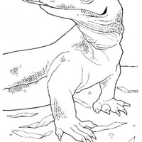 Desenho de Língua do dragão de Komodo para colorir