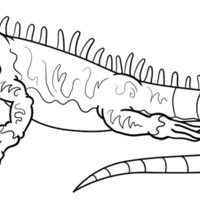 Desenho de Iguana feia para colorir