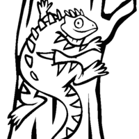 Desenho de Iguana para colorir