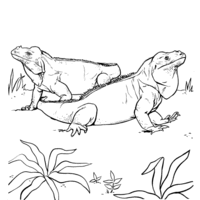Desenho de Iguanas no parque para colorir