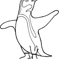Desenho de Pinguim ave para colorir