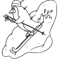 Desenho de Pinguim esquiando para colorir
