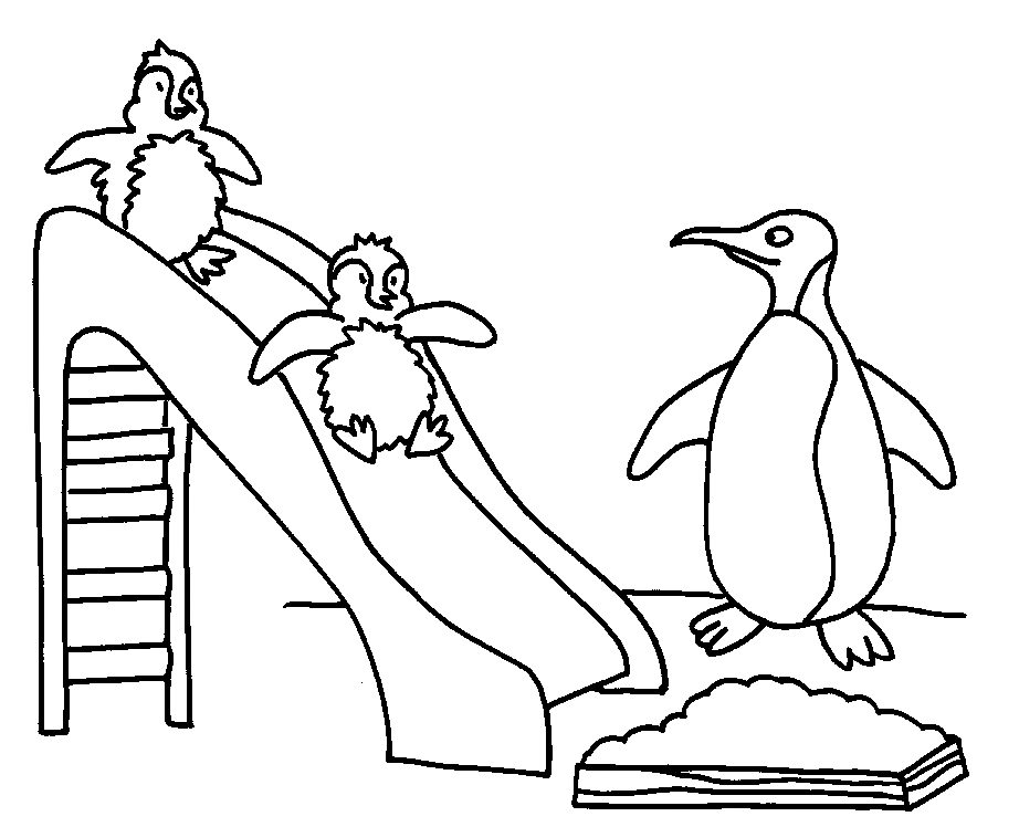 Pinguins no escorregador