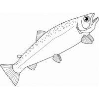Desenho de Peixe salmão para colorir