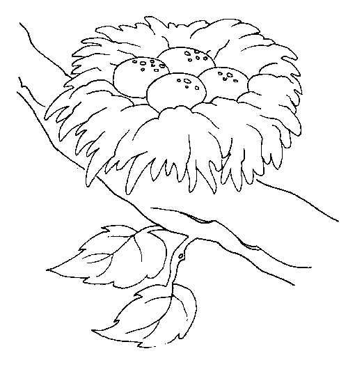 Desenho de Ninho no nariz do Pinóquio para colorir - Tudodesenhos