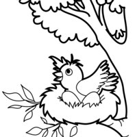 Desenho de Passarinha chocando ovos no ninho para colorir