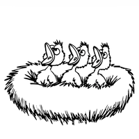 Desenho de Passarinhos no ninho cantando para colorir