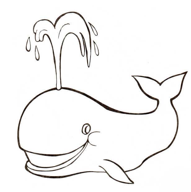 Espirro da baleia