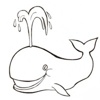 Desenho de Espirro da baleia para colorir