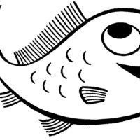 Desenho de Peixe sardinha para colorir