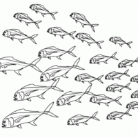 Desenho de Cardume de peixes para colorir