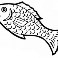 Desenho de Sardinha para colorir