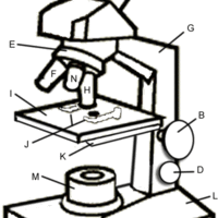 Desenho de Partes do microscópio para colorir