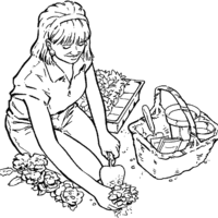 Desenho de Mulher plantando legumes na horta para colorir