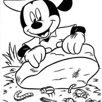 Desenho de Mickey descobrindo novos bichos para colorir