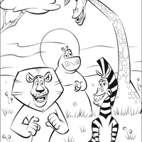 Desenho de Alex, Marty, Melman e Glória para colorir