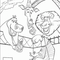 Desenho de Aniversário da zebra Marty em Madagascar para colorir