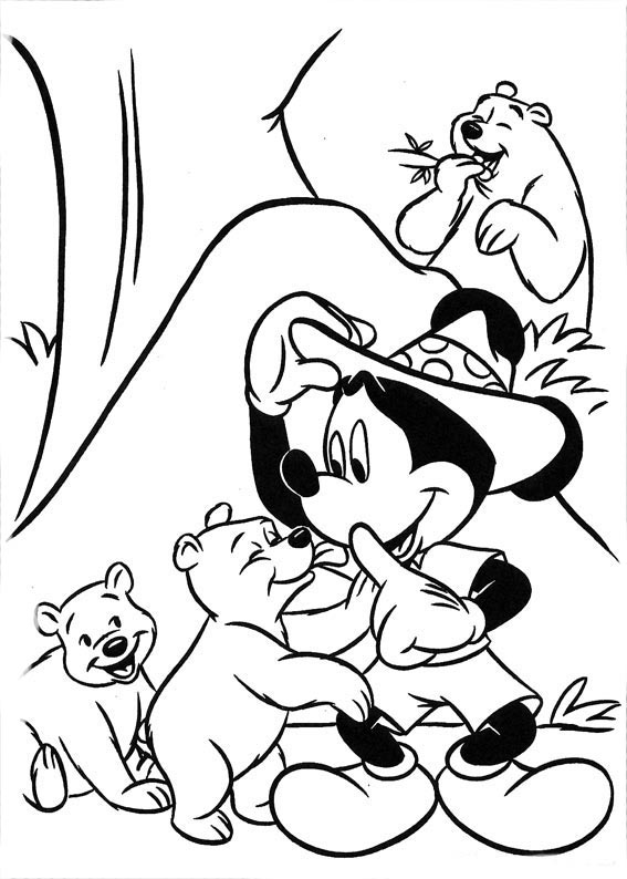 Mickey e ursinhos no safari
