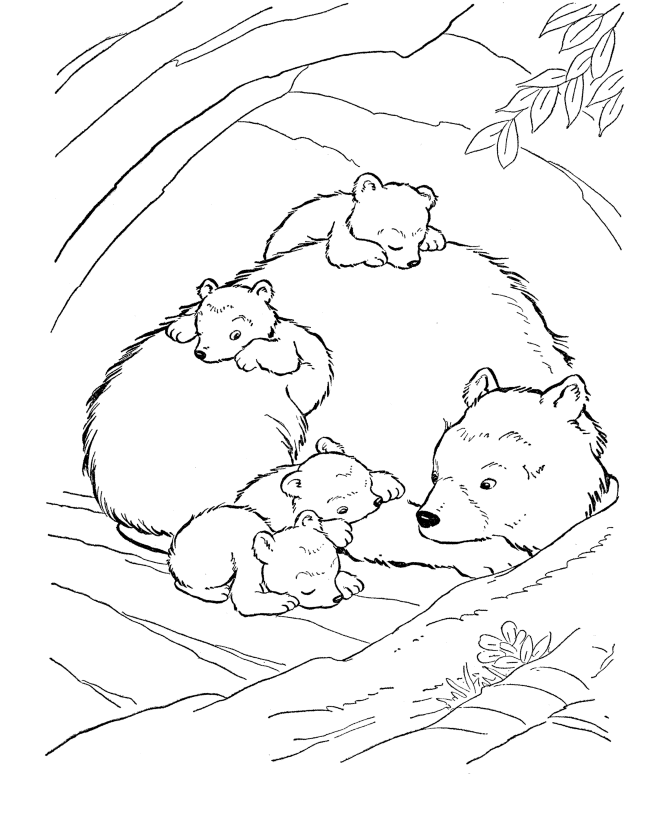 Familia de ursos na toca