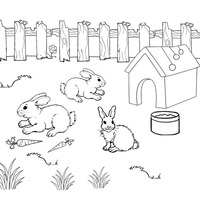 Desenho de Toca de coelhos para colorir